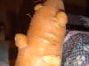 Extra size