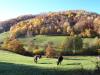 Domo autunno