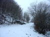 Neve in quota