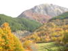 Autunno