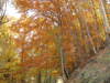 Autunno amatriciano