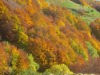 Colori Pastello