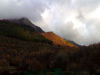 Tardo Autunno