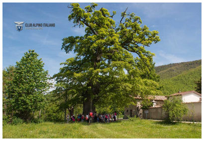 Studenti alla scoperta della natura con il Cai di Amatrice Studenti alla scoperta della natura con il Cai di Amatrice