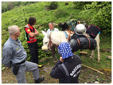 Attraversa l'Appennino a dorso di un mulo: salvato da Soccorso Alpino e Forestale