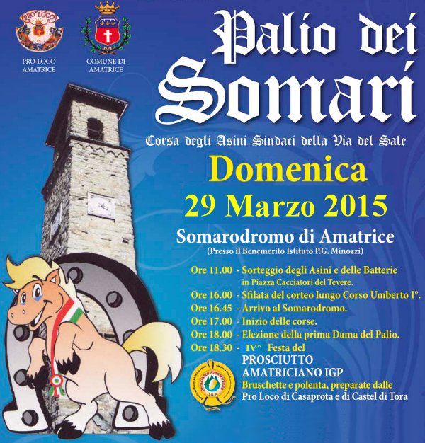 13^ Edizione del Palio dei Somari Sindaci 13^ Edizione del Palio dei Somari Sindaci