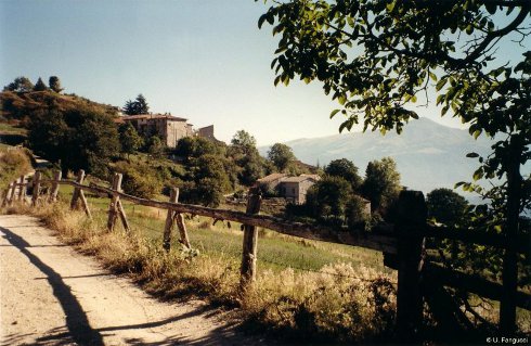 Aleggia Aleggia