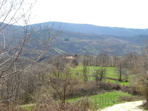 Ferrazza Ferrazza