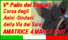 V� Palio dei Somari Sindaci 04-03-2007