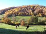 Autunno.
