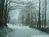 Neve Fresca
