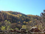 Il bosco in autunno